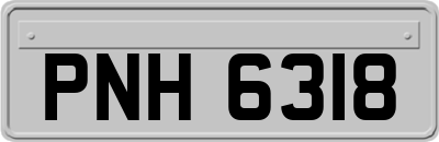 PNH6318