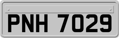 PNH7029