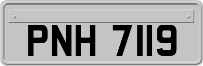PNH7119