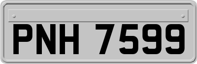 PNH7599
