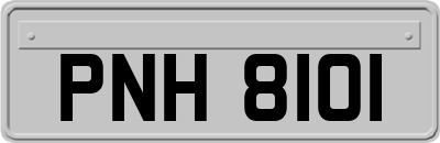 PNH8101