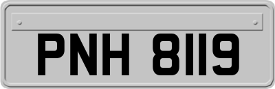 PNH8119