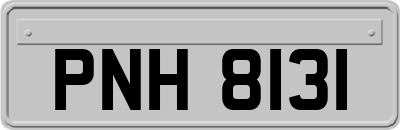 PNH8131