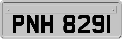 PNH8291