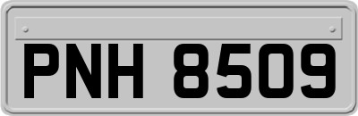 PNH8509