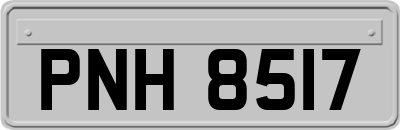 PNH8517