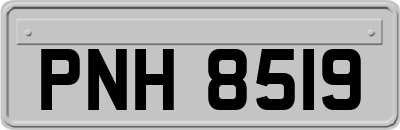 PNH8519