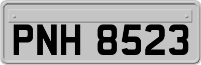 PNH8523