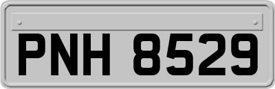 PNH8529