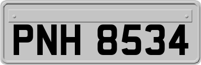 PNH8534