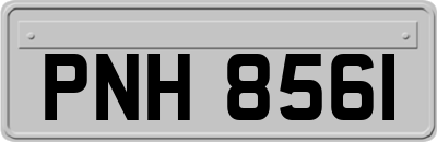 PNH8561