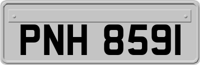 PNH8591