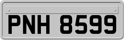 PNH8599