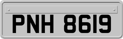 PNH8619