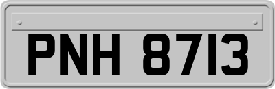 PNH8713