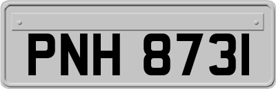 PNH8731