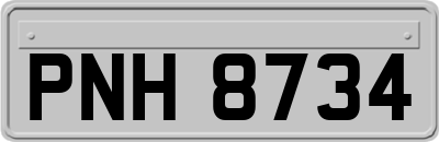 PNH8734