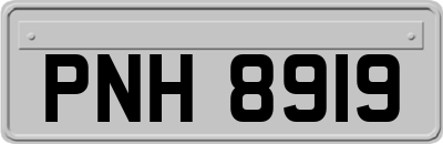 PNH8919