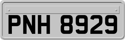 PNH8929