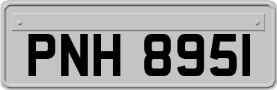 PNH8951