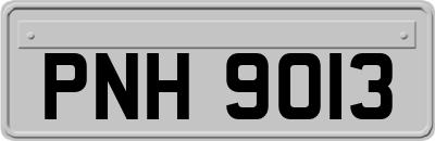 PNH9013