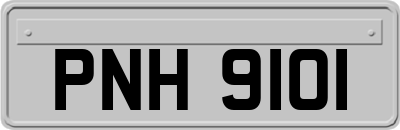 PNH9101