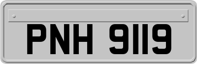 PNH9119