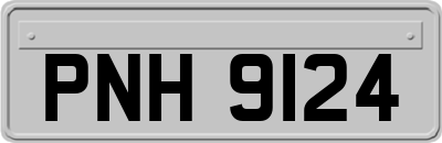 PNH9124
