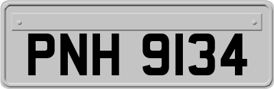 PNH9134