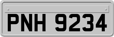 PNH9234