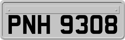 PNH9308
