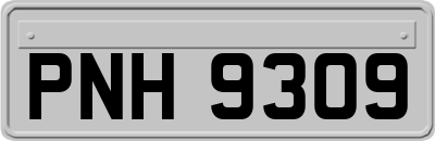 PNH9309