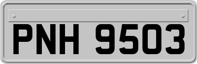 PNH9503