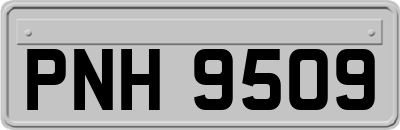 PNH9509