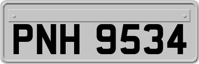 PNH9534