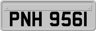PNH9561