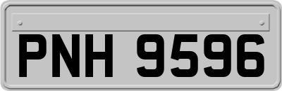 PNH9596