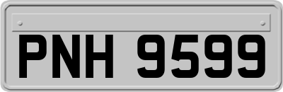 PNH9599