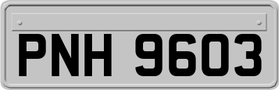 PNH9603