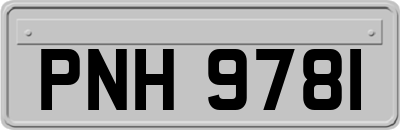 PNH9781