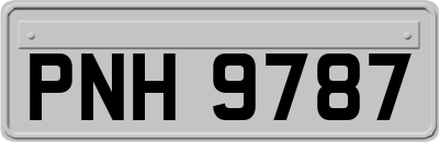 PNH9787