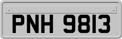 PNH9813