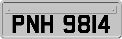 PNH9814