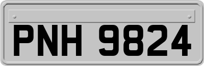 PNH9824