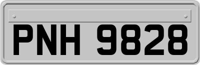 PNH9828
