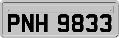 PNH9833