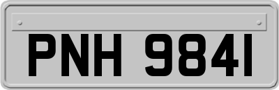PNH9841