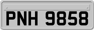 PNH9858