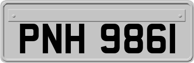 PNH9861