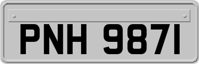 PNH9871